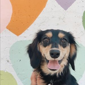 Meet your Posher, Andrew